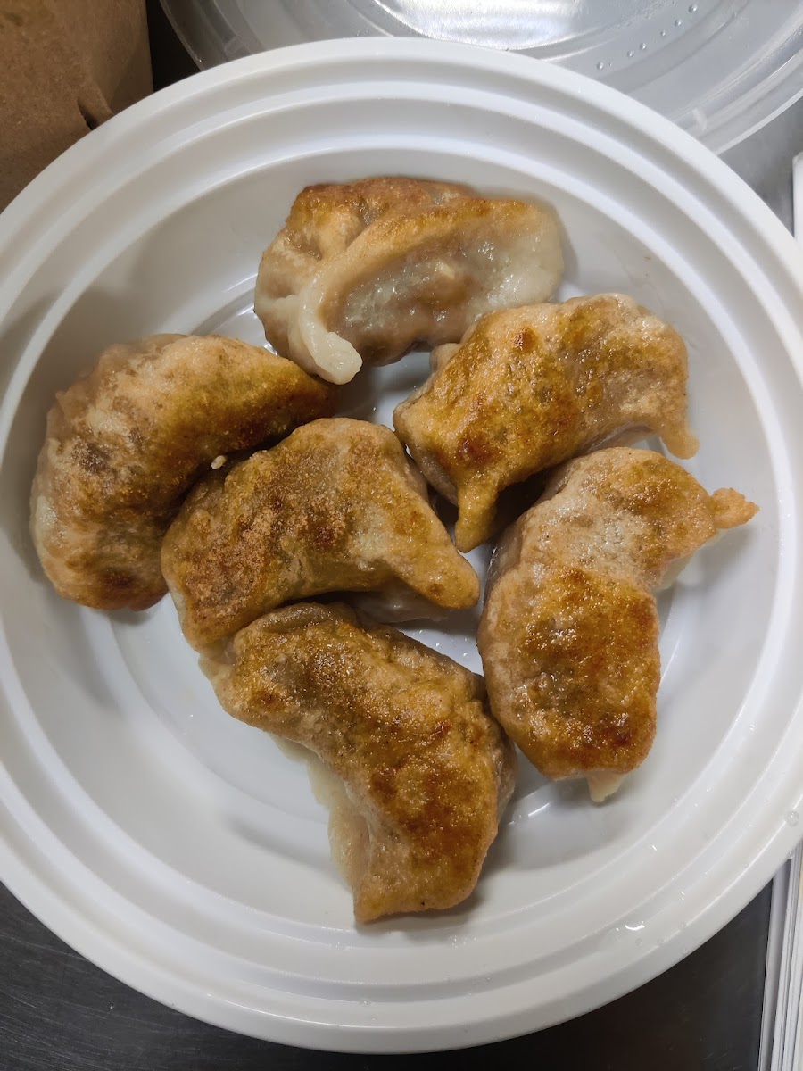Six golden pan-fried dumplings with crispy crust on a white plate